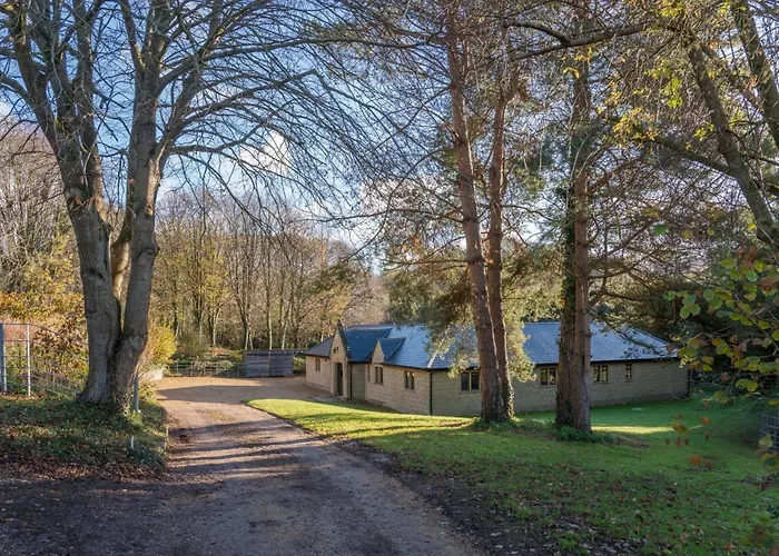 Catch Pot Nursery Bristol